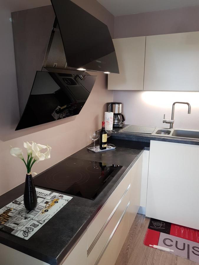 Cosy T3 Parmelan Appartement アヌシー エクステリア 写真